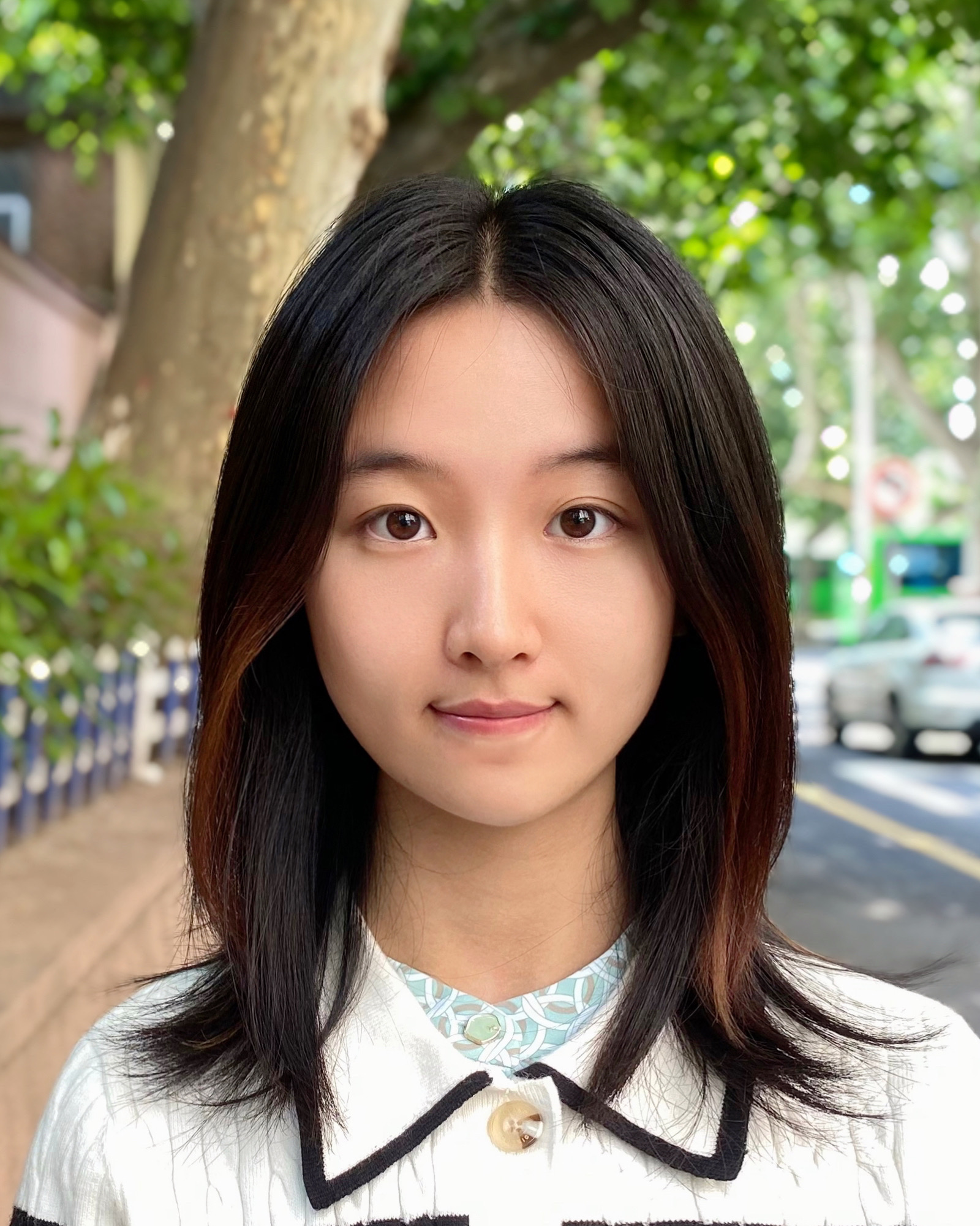 Jindan Li
